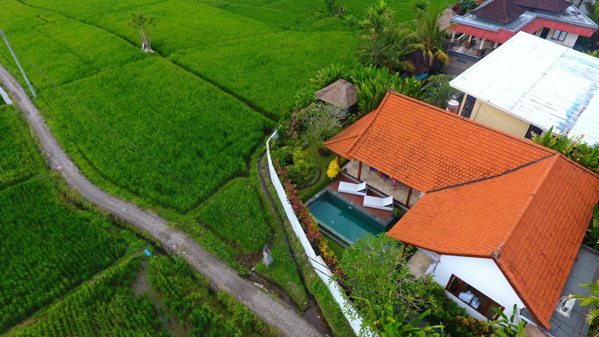 Villa Maya Ubud, Peaceful Rice Field View Exterior foto
