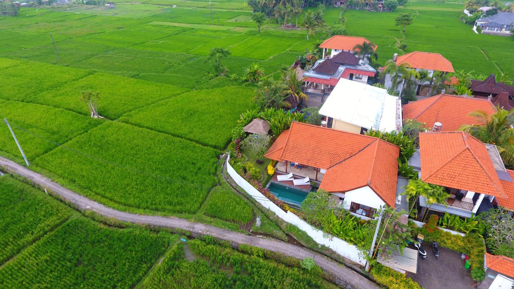 Villa Maya Ubud, Peaceful Rice Field View Exterior foto